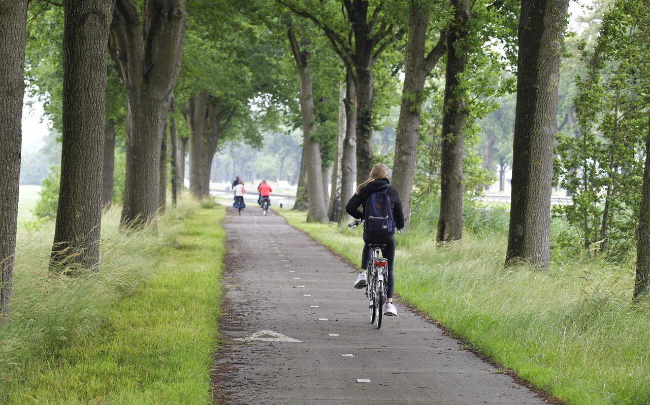 Partijen In Westerveld Pleiten Voor Verlichting Bij Fietspad Tussen Boskampsbrug In Havelte Naar